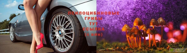 mix Дмитровск
