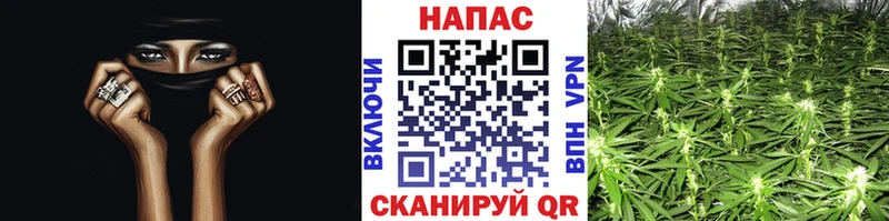 Бошки марихуана Ganja  Волоколамск 